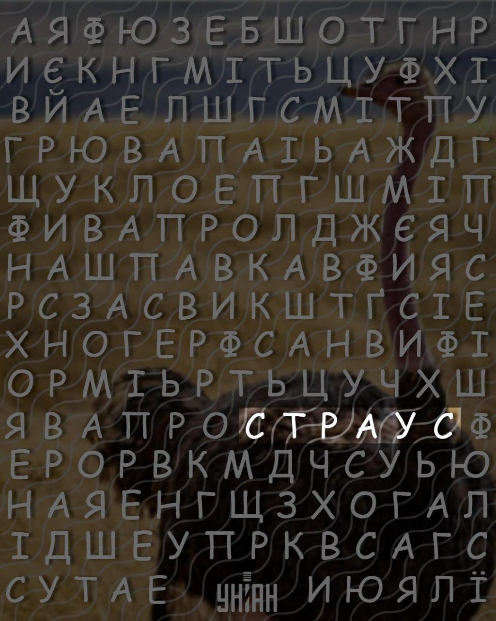 Bare personer med høy IQ kan finne ordet 