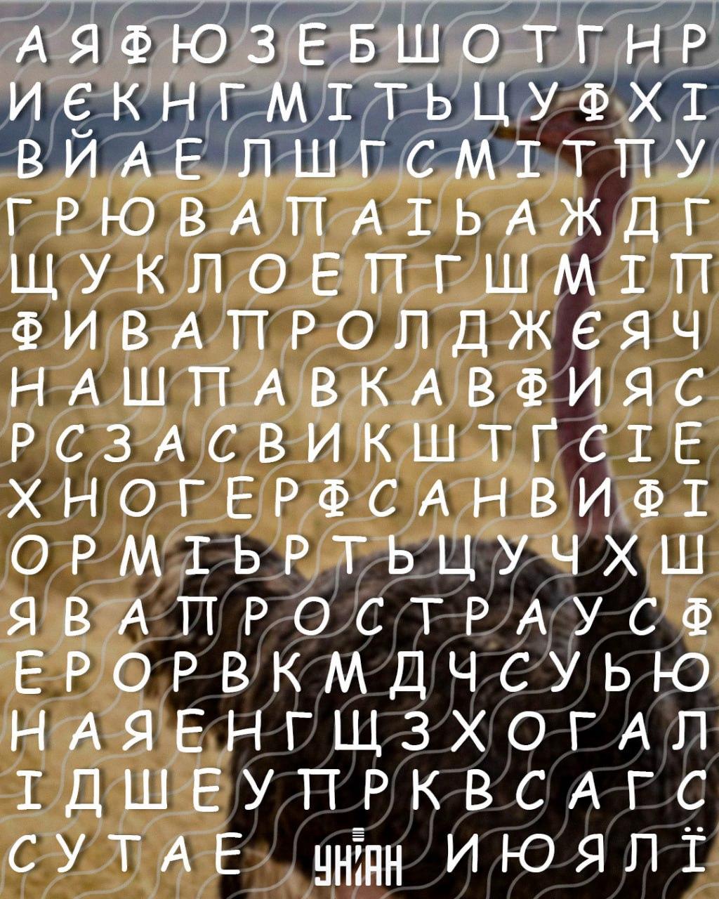 Bare personer med høy IQ kan finne ordet 