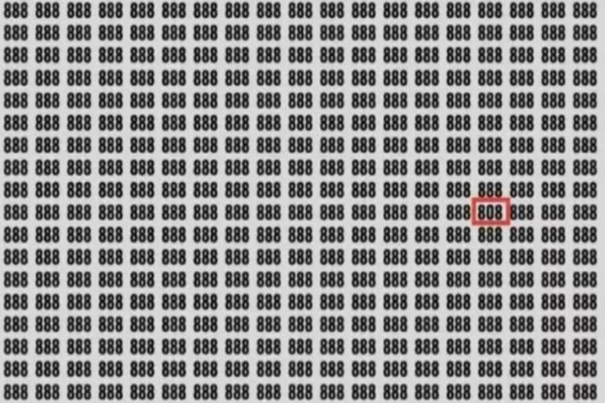 Svaret på gåten / foto av Jagran Josh