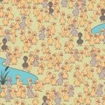 Et puslespill for moro skyld: du må finne en kylling